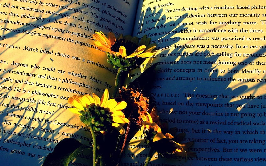 Flowers, , , Shadow, Book, Paper HD wallpaper
