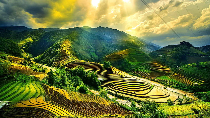 Guide de voyage au Vietnam. Lieux à visiter au Vietnam, Culture vietnamienne Fond d'écran HD