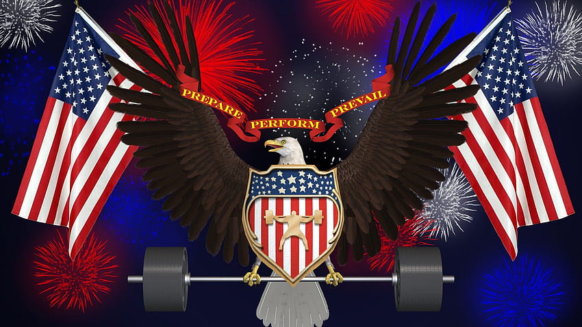 American Flag With Eagle Weightlifting American Flag ., Bald Eagle Flag HD wallpaper