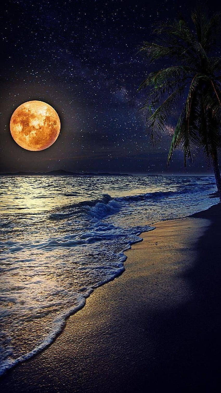 Moon beach - Moon - Beautiful moon - Night sky stars - Moon graphy - Good night in 2020. Schöner mond, Mondgrafik, Gute nacht mond, Mondnachtozean HD-Handy-Hintergrundbild