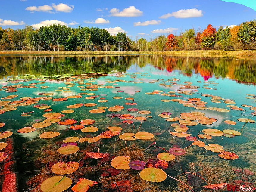 Beautiful Nature For 1600 x 1200 px 576.92 KB summe. Beautiful of nature, Nature , Beautiful nature, Michigan Spring HD wallpaper