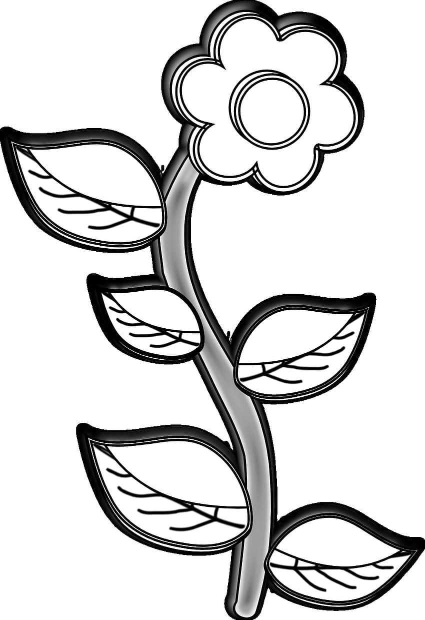 Of Flower Drawings, Of Flower Drawings png, ClipArts on Clipart Library, Single Flower Drawing Fond d'écran de téléphone HD