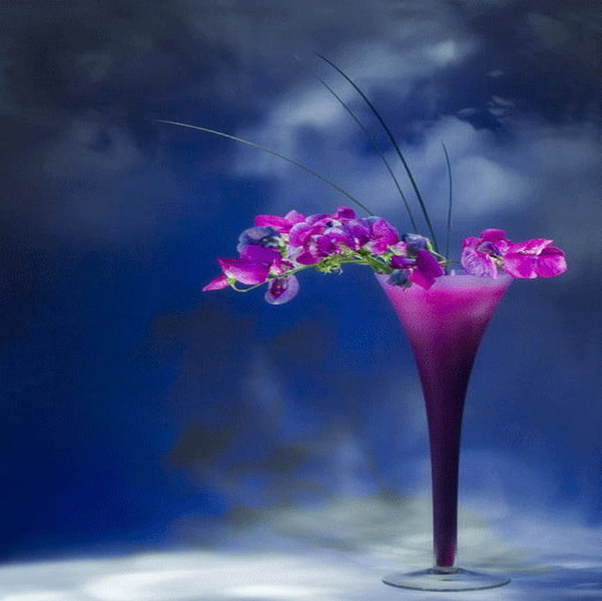 orchidea, fioletowy, szkło, niebo Tapeta HD