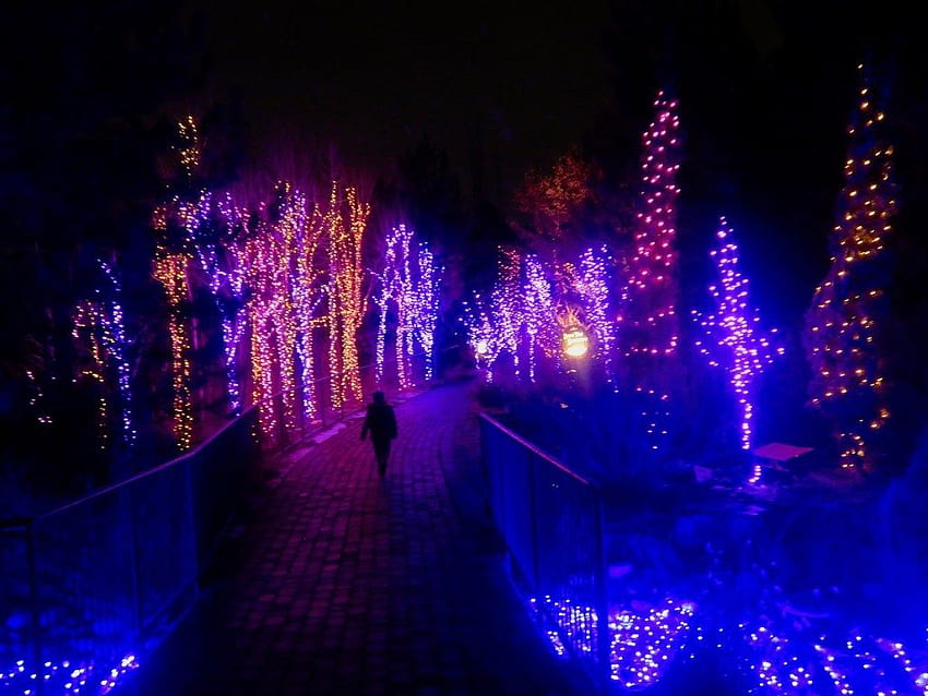 솔트레이크시티의 크리스마스 조명을 볼 수 있는 반짝이는 장소 - 몬스터와 함께 여행하기 HD 월페이퍼