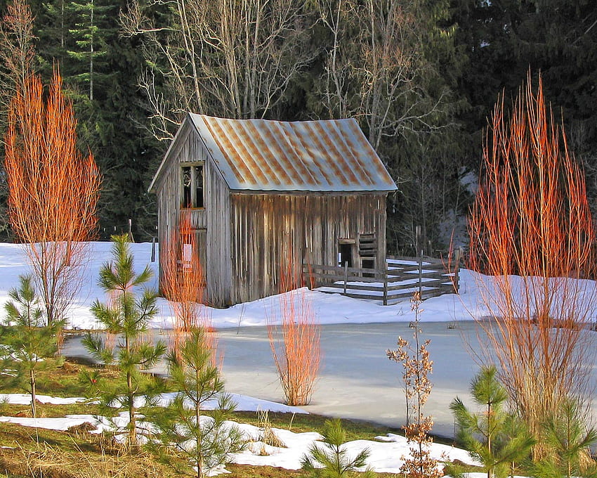 Winterhütte, Winter, gefroren, Farbe, Landschaft, Farben, schön, Schönheit, Schnee, Natur, Hütte, Wald HD-Hintergrundbild