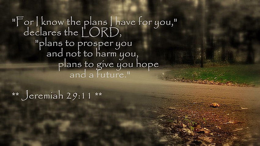 Имай надежда . Имайте вяра, Еремия 29:11 HD тапет