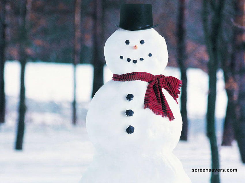 Winter Real Snowmen, Real Snowman HD wallpaper