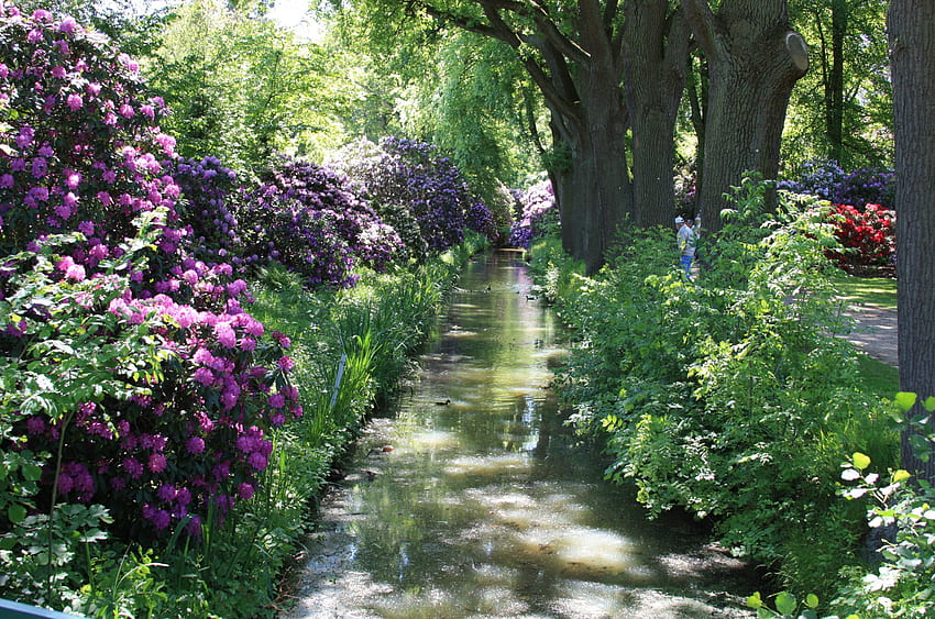 Лятно езерце, дървета, природа, цветя, вода, езерце HD тапет