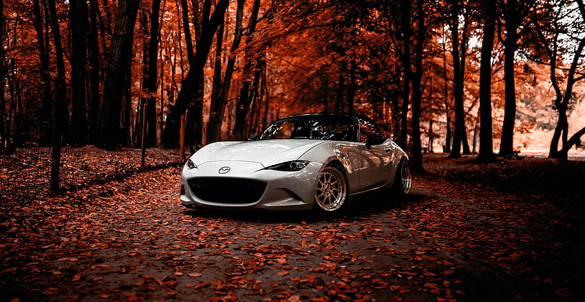 Mazda, off-road, autumn, sports car HD wallpaper