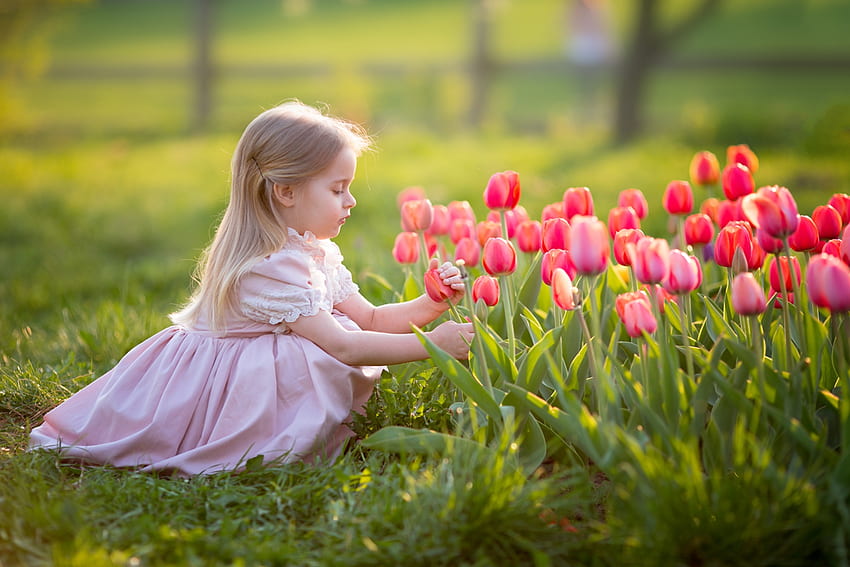 Little Girl, Depth Of Field, Girl, Blonde, Tulip, Pink Flower, Child . Mocah HD wallpaper