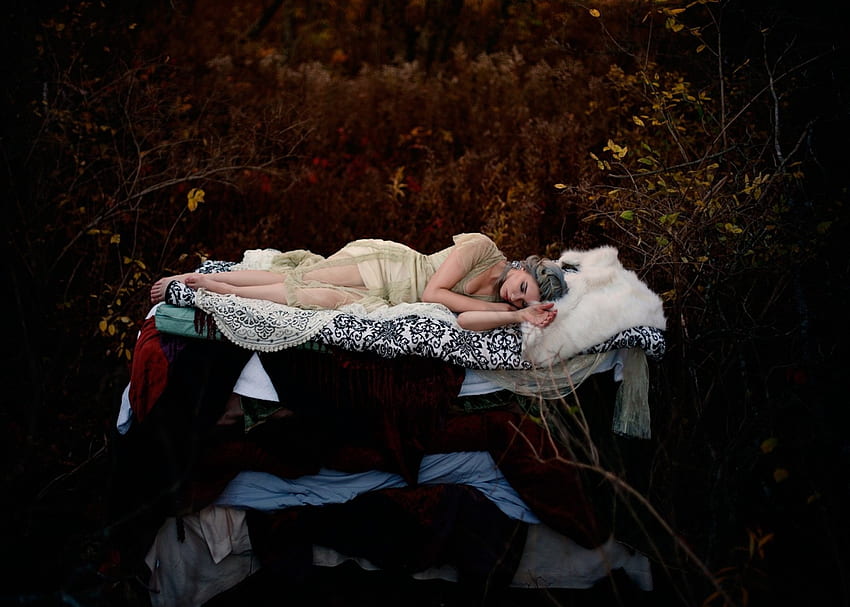 잠자는 숲속의 미녀, 스타일, 모델, 옷, 자고, 여자 HD 월페이퍼