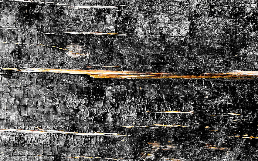 grauer Holzhintergrund, Nahaufnahme, horizontale Holzstruktur, Holzplanken, Holzhintergründe, graue Hintergründe, Holztexturen HD-Hintergrundbild