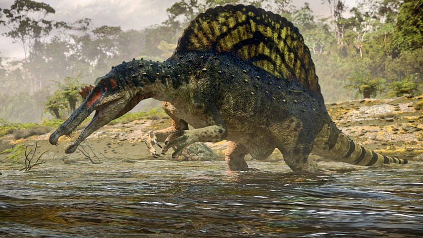 Spinosaurus, Jurassic-Park-Spinosaurus HD-Hintergrundbild