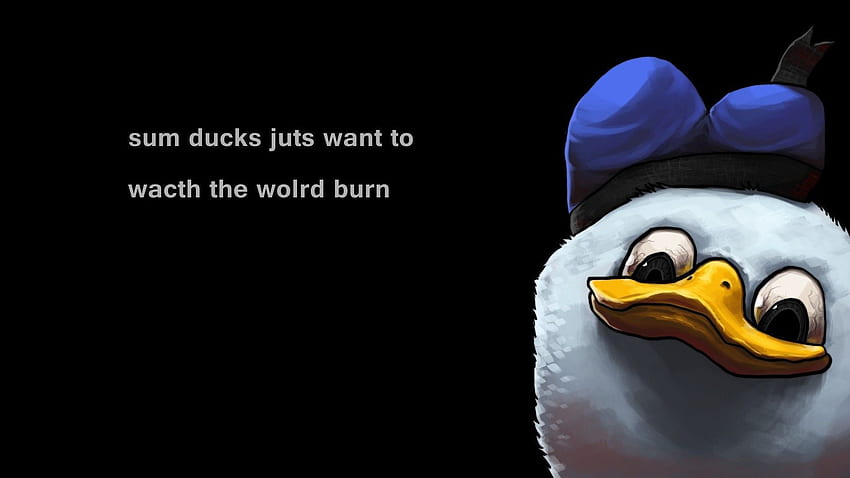Donald Duck Memes, Funny Duck HD wallpaper