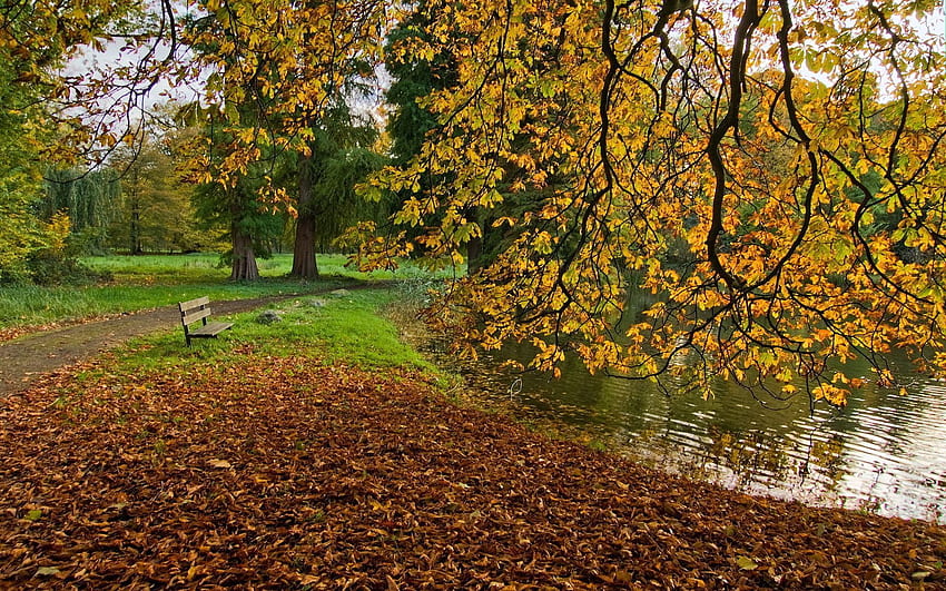 자연, 가을, 벤치, 연못 HD 월페이퍼
