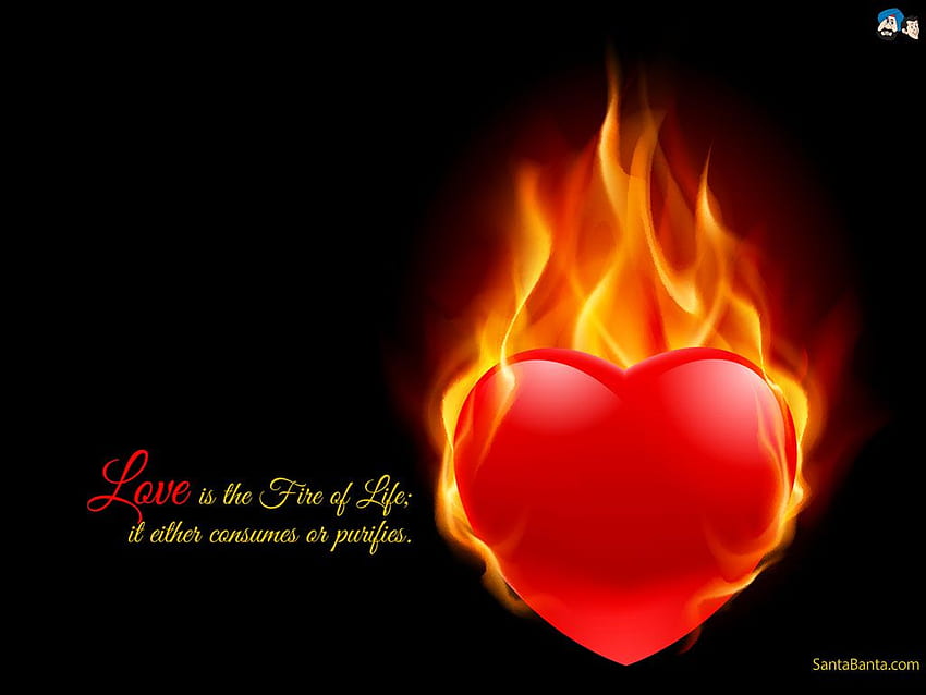 Burning Love . Burning, Fire Heart HD wallpaper