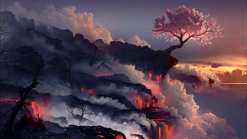 eruption, lava, volcano, oriental cherry, tree [] : HD wallpaper