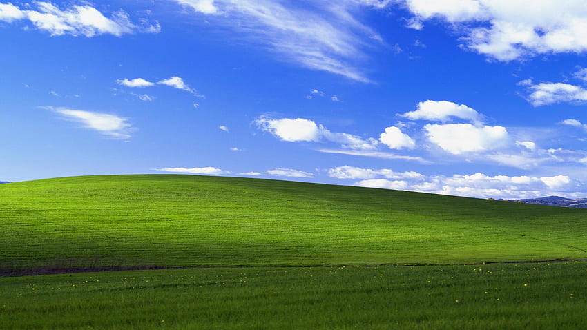 Windows XP Bliss 1440P, 2560X1440 Meme HD-Hintergrundbild
