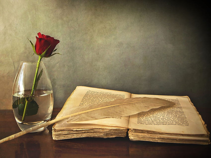 本、古い、ペン、テーブル、花瓶、バラ、赤い本 高画質の壁紙