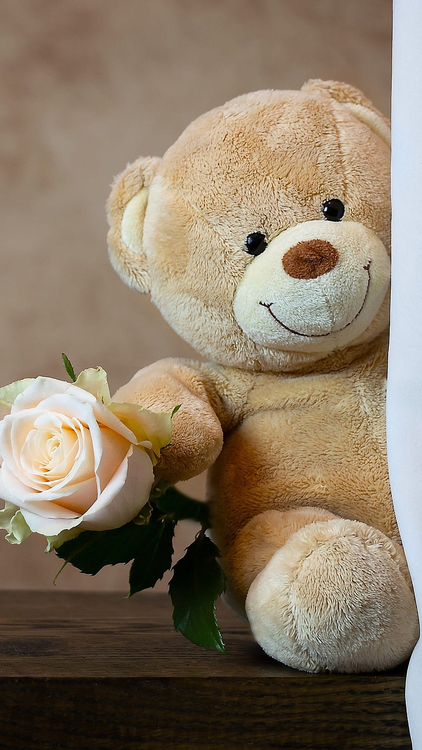 Teddy Bear, bunga wallpaper ponsel HD