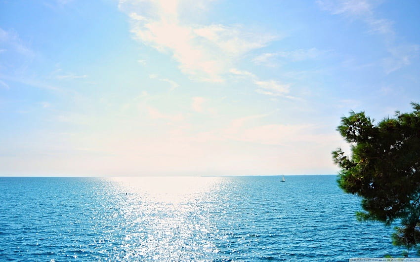 Bright Shining Sea, bleu, mer, lumière du soleil, brillant, ciel, océan, arbre Fond d'écran HD