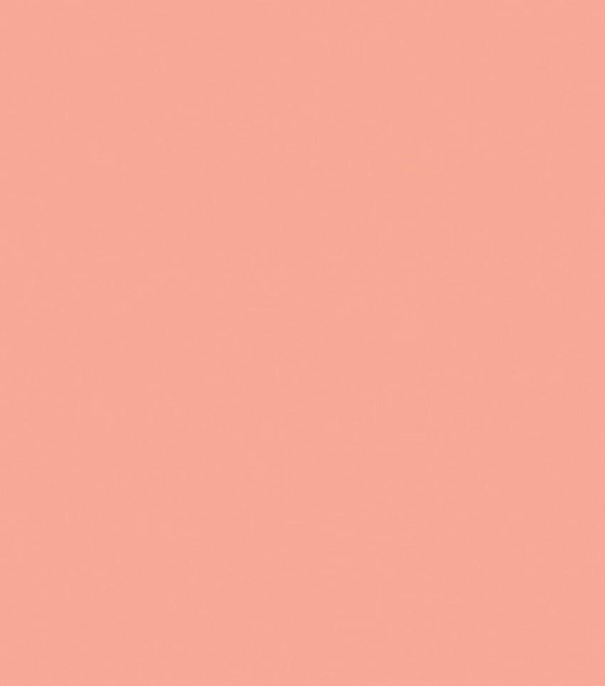 Tulip Dimensional Fabric Paint 1.25oz Slick. JOANN. Color iphone, Pastel color background, Pastel color, Peach Plain HD phone wallpaper