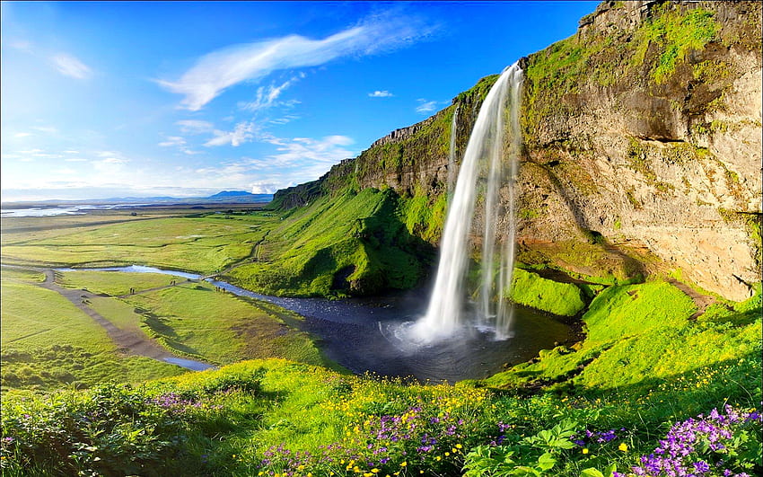 Seljalandsfoss waterfall, mountain, Iceland, wildflowers, waterfall, beautiful, sky, rocks, spring HD wallpaper