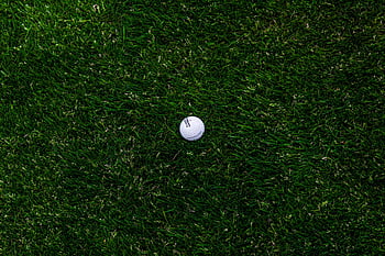 Background: Augusta Golf Background, Golf Course HD wallpaper | Pxfuel