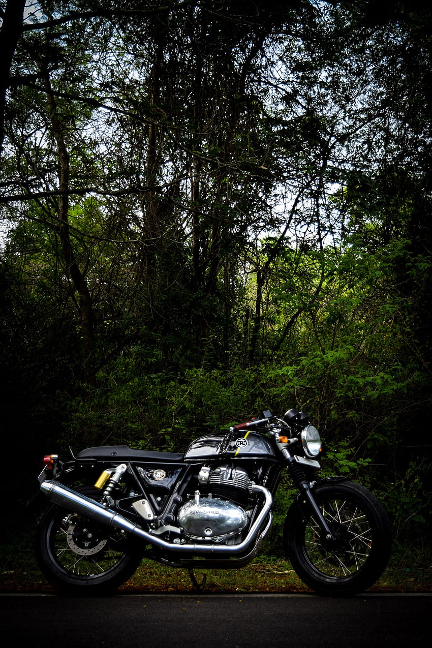 GT 650 TWIN, Caferacer, TWIN650, Twin_Xplorer, Royalenfield, plant, intothewild, Continentalgt650, GTTWIN, Bikers, GT650 HD phone wallpaper