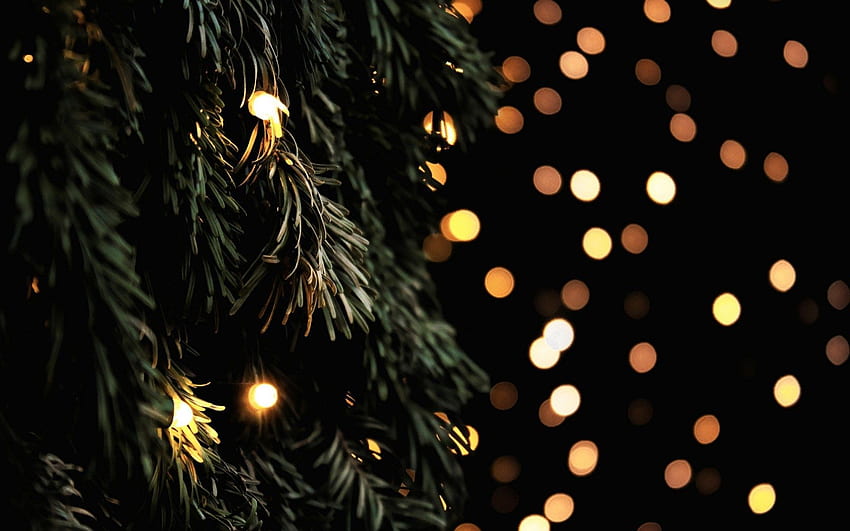 Christmas Garland Lights Hearts Bokeh Tree Branches Musim Dingin Tahun Baru Wallpaper HD