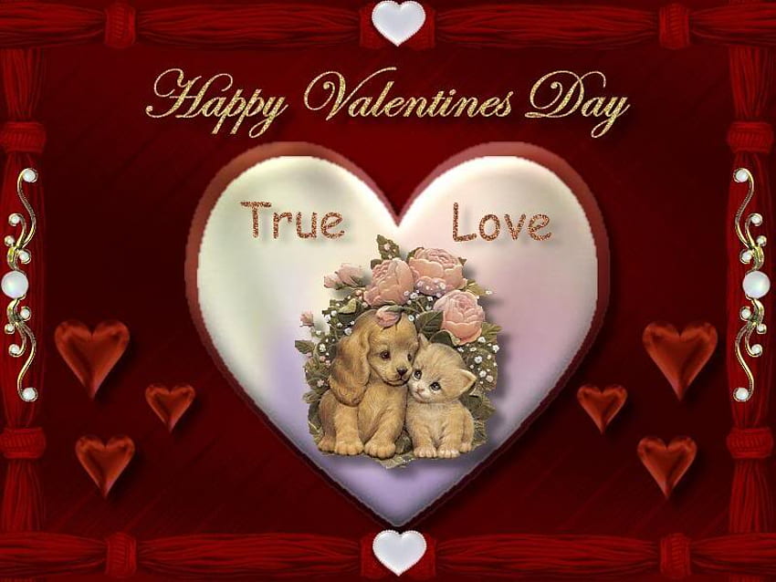 Истинска любов, сърца, валентинки, ден, червено HD тапет