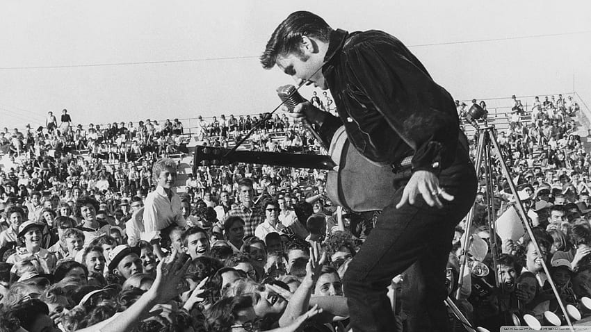 Elvis Presley ในคอนเสิร์ต Ultra Background วอลล์เปเปอร์ HD