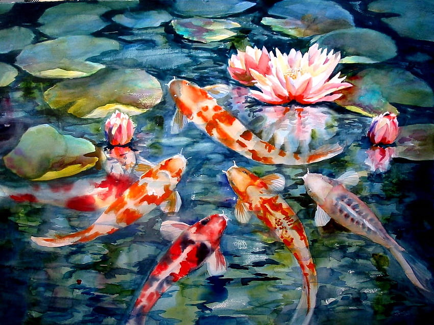 아름다운 잉어 물고기, 일본 잉어 연못 HD 월페이퍼