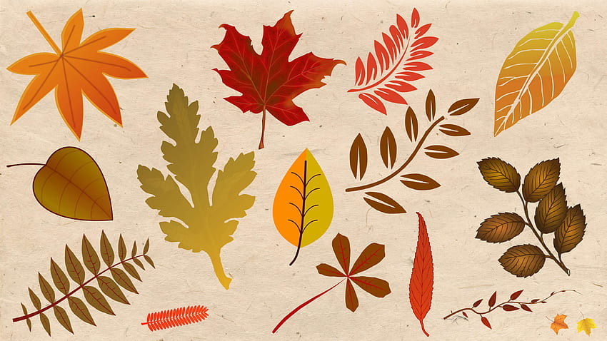 autum, background, burlap,, Autumn Leaves HD wallpaper