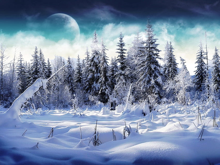 Fantasy, Moon, Snow, Forest, Fog, Drifts, Ate HD wallpaper Fantasy, Moon, Snow, Forest, Fog, Drifts, Ate HD wallpaper