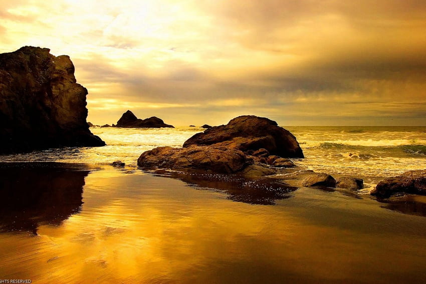 Paysage d'or, or, littoral, ciel, côte, paysage, eau, océan, plage Fond d'écran HD