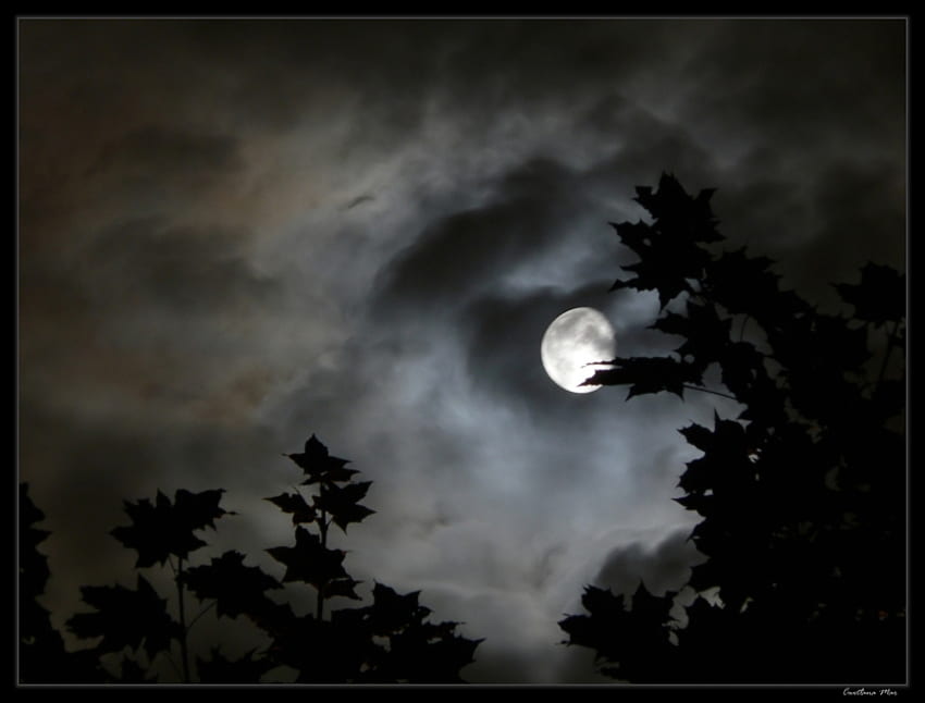 The Crescent Moon, full moon, art , moon, night sky, clouds, beautiful HD wallpaper