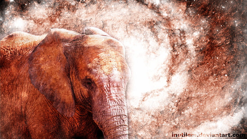 Elephant Wallpaper Images - Free Download on Freepik