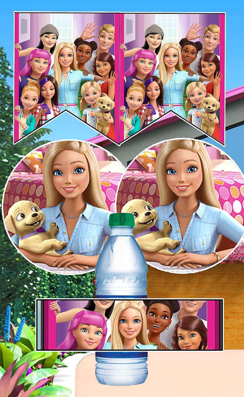 Barbie Dreamhouse Adventures, Barbie Birtay HD phone wallpaper