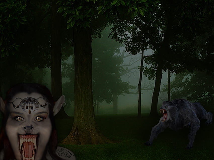 Werewolf Queen, wood, fantasy, werewolf, horror, wolf, queen HD wallpaper