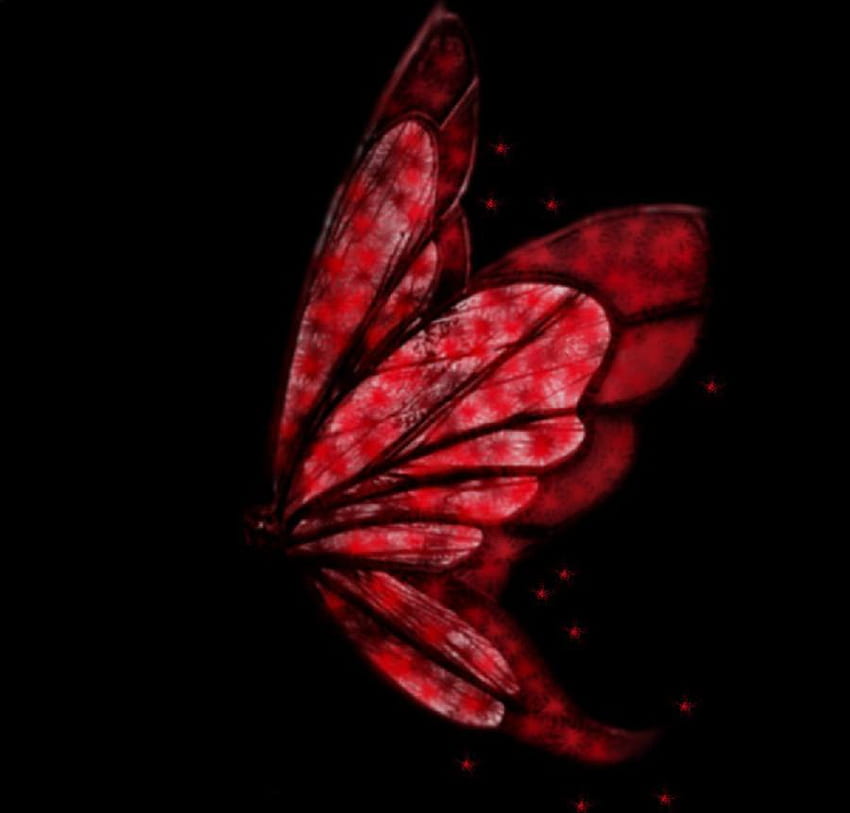 Crimson butterfly, gothic, butterfly, red HD wallpaper