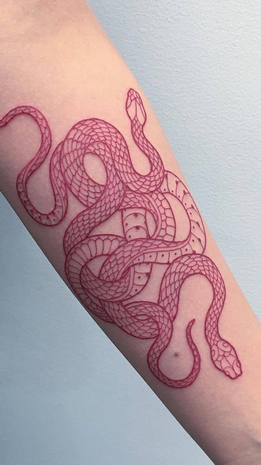 Tattoo uploaded by Ashley Jelisa  Red ink rose and snake tattoo  Tattoodo