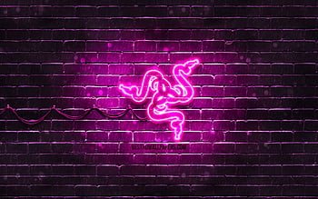 Collection Razer Purple The Gallery For Gt Razer Logo . コンピュータの壁紙, ホーム 