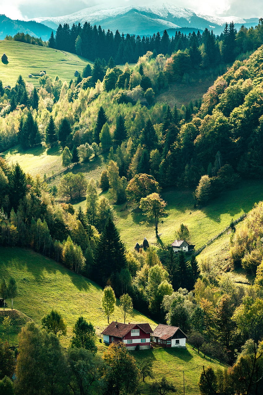 Природа, дървета, гора, къща, село, хълмове HD тапет за телефон