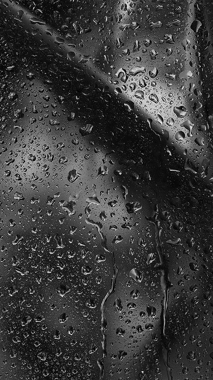 Rain Bw Pattern Background Dark, Rain and Trees HD phone wallpaper