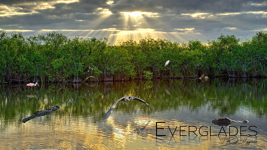 Everglades National Park HD wallpaper