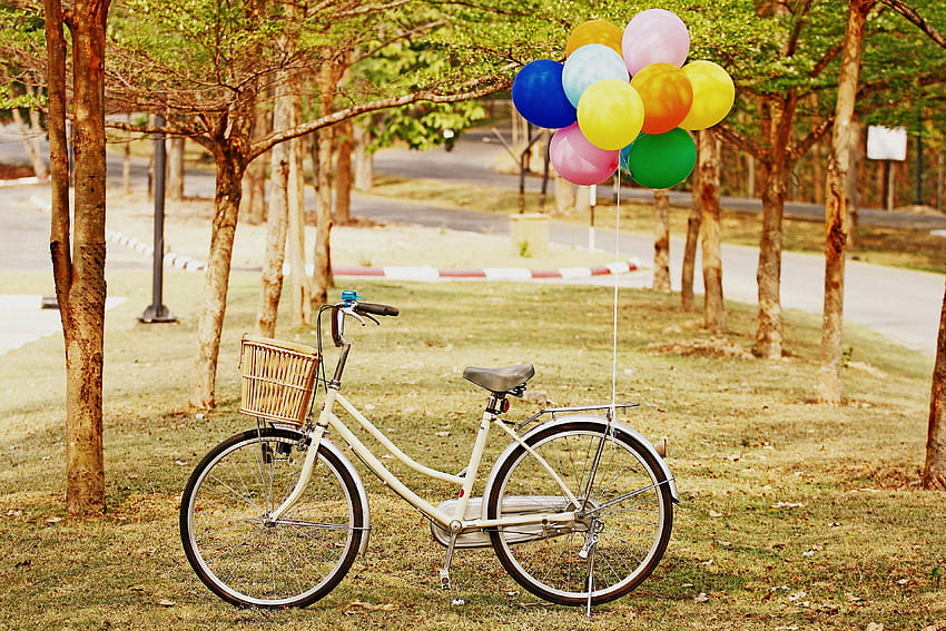 Grass, Balloons, , , Park, Bicycle, Air Balloons HD wallpaper