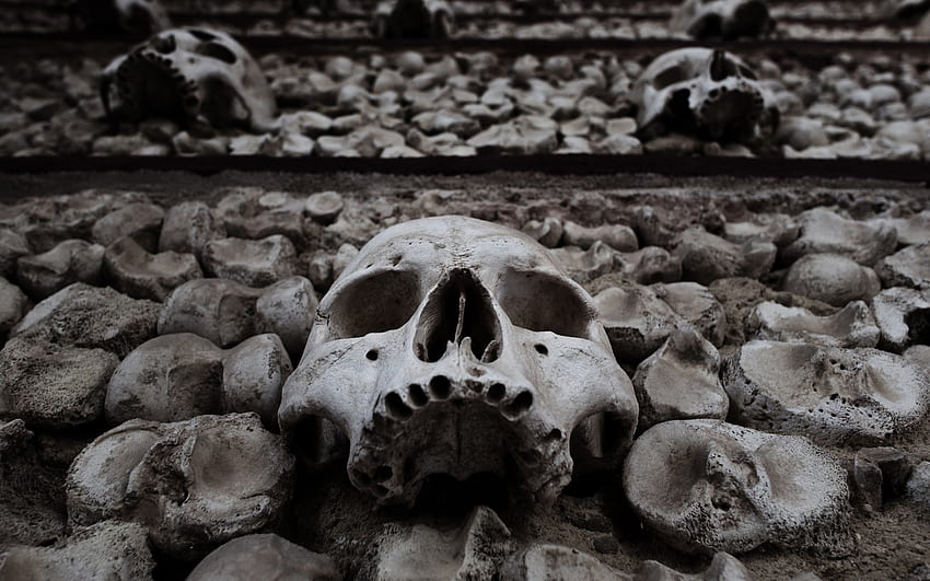 Fantasía oscura muerte cráneos muertos esqueleto halloween horror miedo espeluznante espeluznante negro blanco ojos cara | | 26217 | HASTA fondo de pantalla