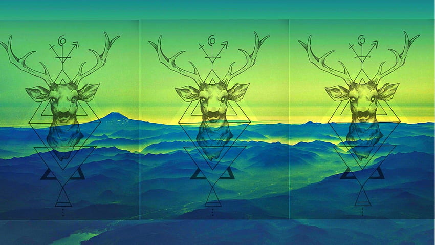 nature animals digital art, Nature Collage HD wallpaper
