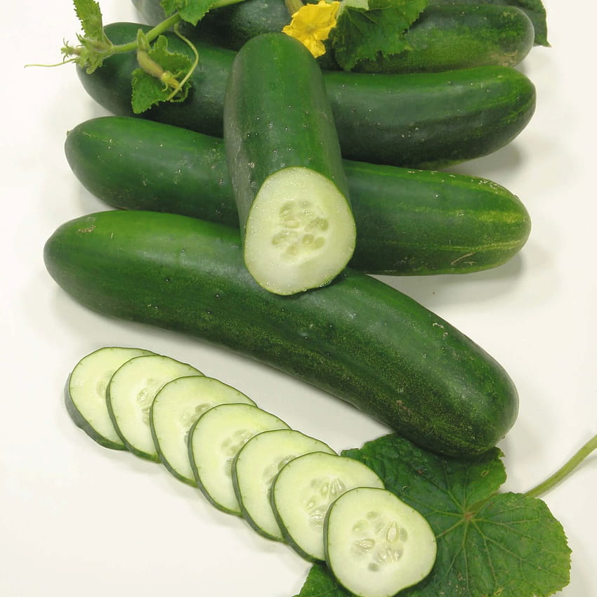 Cutte cucumbers PNG transparent image download, size: 1920x581px